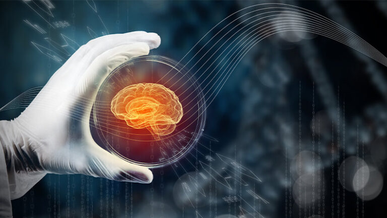 Organoid Intelligence Pipeline
